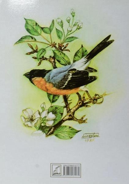 کتاب تعلیم نقاشی درنا - اسماعیل نژاد فرد لرستانی - 1