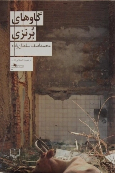 کتاب گاوهای برنزی | سلطان زاده