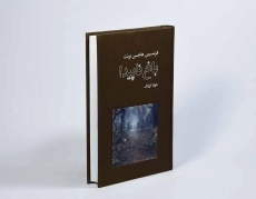 کتاب باغ ناپیدا - فرنسیس هاجسن برنت - 2