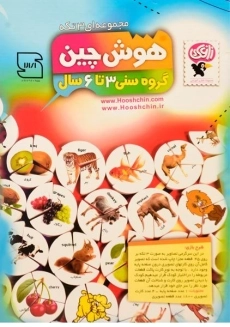 بازی فکری و آموزشی هوش چین 3 تکه - زاغک - 1