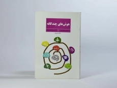 کتاب هوش های چندگانه | مایک فلیتهم - 2