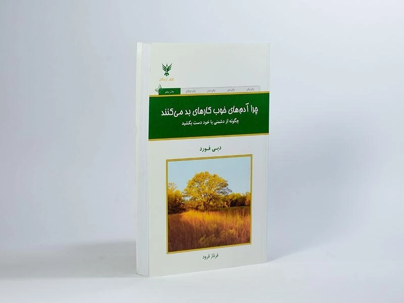 کتاب چرا آدم های خوب کارهای بد می کنند | دبی فورد - 2