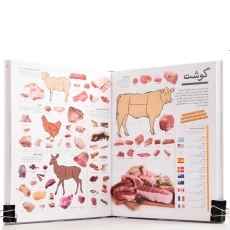 کتاب دایره‌المعارف دانستنیهای شگفت‌‌انگیز - 4