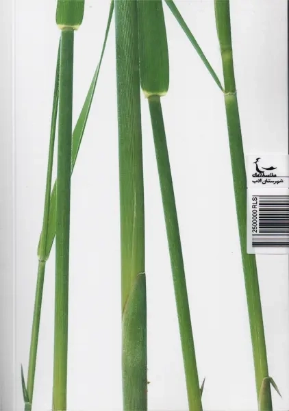 کتاب پس از بیست سال | سلمان کدیور - 1