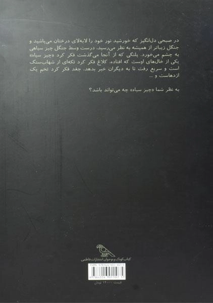 کتاب یک چیز سیاه - 3