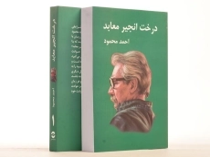 کتاب درخت انجیر معابد | احمد محمود - 3