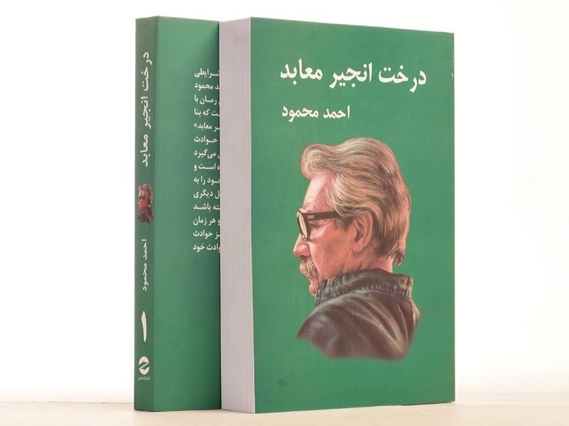 کتاب درخت انجیر معابد | احمد محمود - 3