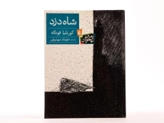 کتاب شاه دزد - نشر افق - 3
