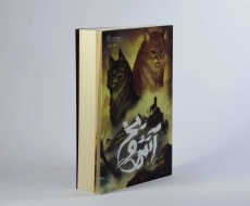 کتاب آتش و یخ 2 (جنگجویان) - 4