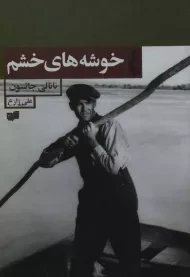 کتاب خوشه های خشم | نانالی جانسون