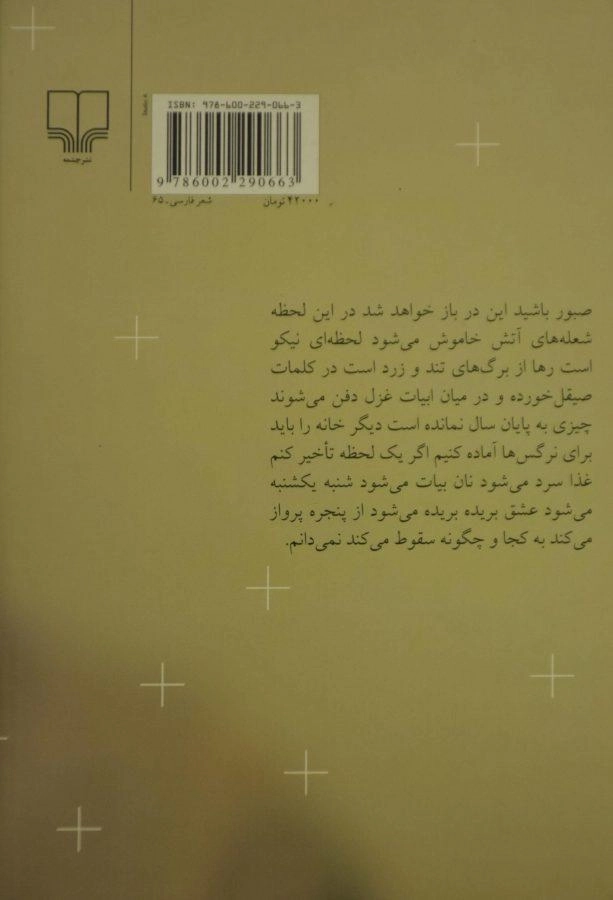 کتاب شعرها و یادهای دفترهای کاهی - احمدی - 1