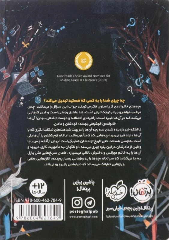 کتاب سه غریبه در شهر (اسرار خانواده ی گری استون 1) - 2