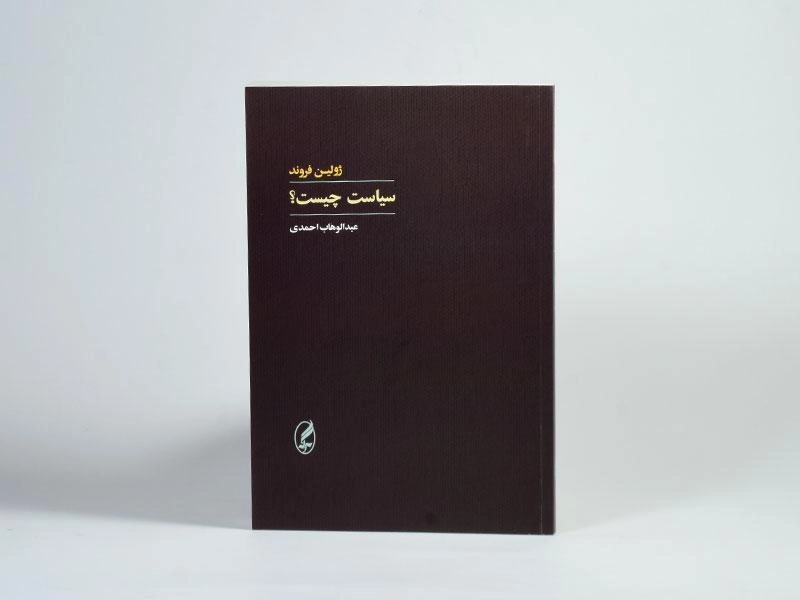 کتاب سیاست چیست؟ اثر ژولین فروند - 3