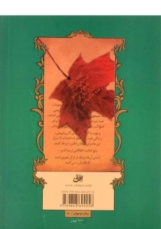 کتاب ماجراهای اسپایدرویک 1 (راهنما) - 1