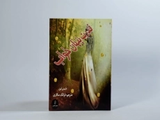 کتاب قدرت پنهان خواب - دنیس لین - 2