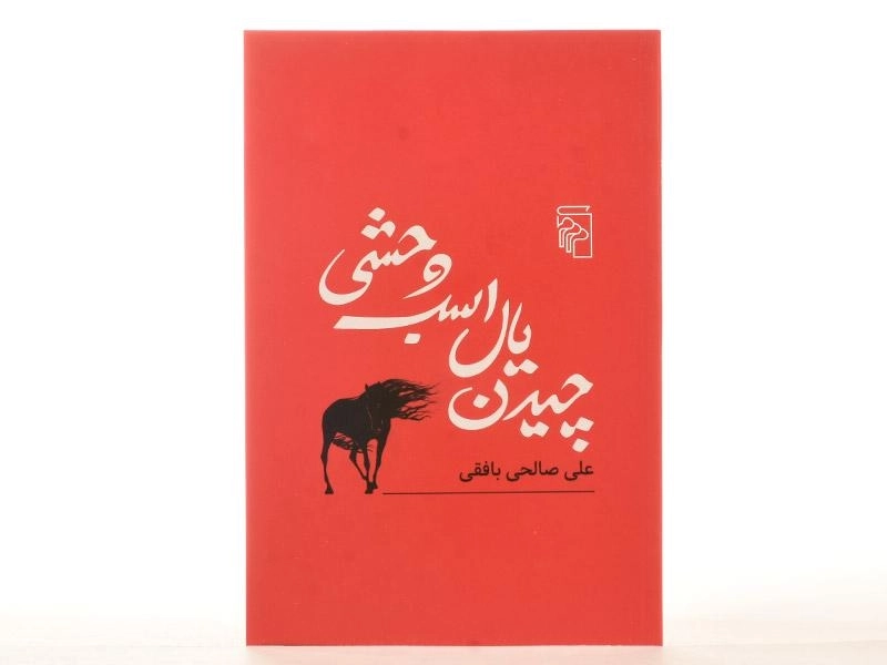 کتاب چیدن یال اسب وحشی - صالحی بافقی - 4