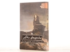 کتاب بلندی های بادگیر