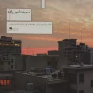 کتاب سفر سرگردانی | امین زاده