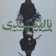 کتاب ناامیدی - ولادیمیر ناباکوف