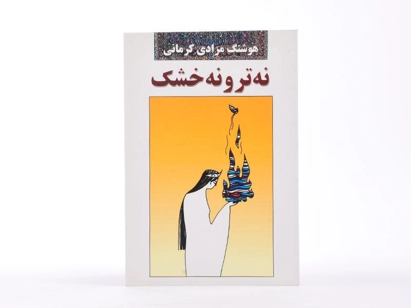 کتاب نه تر و نه خشک | هوشنگ مرادی کرمانی - 3