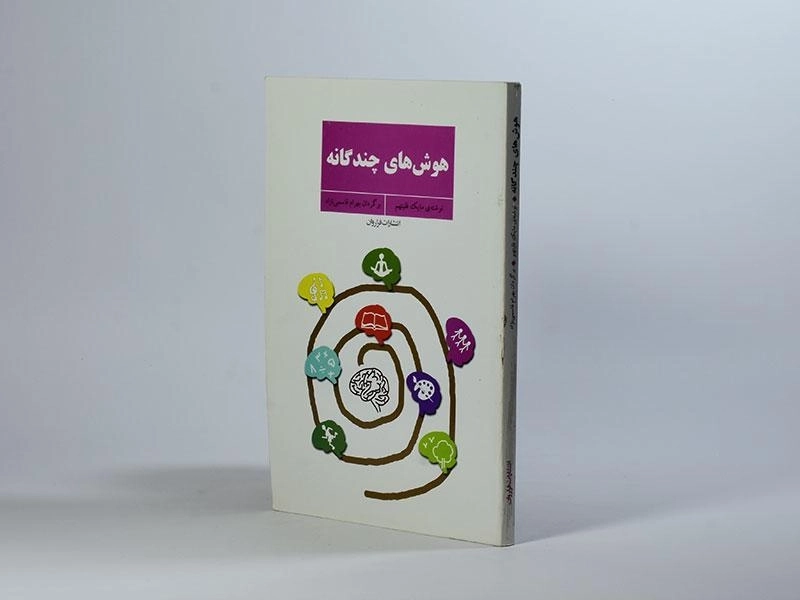 کتاب هوش های چندگانه | مایک فلیتهم - 3