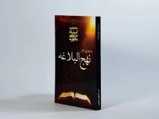 کتاب سیری در نهج البلاغه - مرتضی مطهری - 3