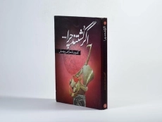 کتاب اگر کشتند چرا ... - جواد حیدری - 2