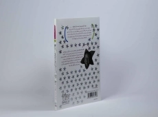 کتاب تعطیلات خوش کریسمس (جودی دمدمی و استینک 1) - 2