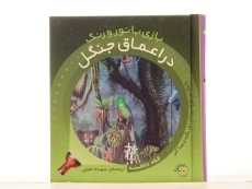 کتاب در اعماق جنگل (بازی با نور و رنگ) - 4