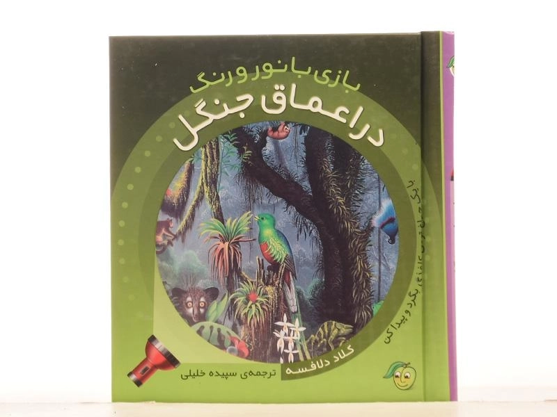 کتاب در اعماق جنگل (بازی با نور و رنگ) - 4