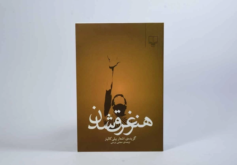 کتاب هنر غرق شدن - بیلی کالینز - 2