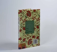 کتاب دختر ماه پسر خورشید (عشق های فراموش شده) - 2