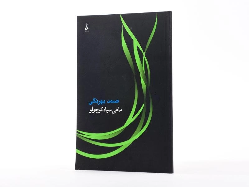 کتاب ماهی سیاه کوچولو | صمد بهرنگی - 2