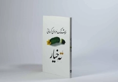 کتاب ته خیار | هوشنگ مرادی کرمانی - 2