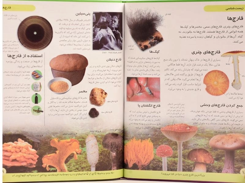 کتاب دایره المعارف من درباره ی علوم - 4