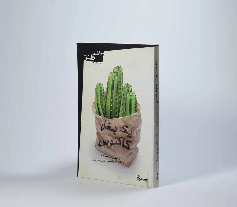 کتاب یک بغل کاکتوس - امیر مهدی نژاد - 2