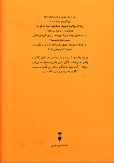 کتاب چگونه گورخر راه راه شد | لئو گراسه - 2