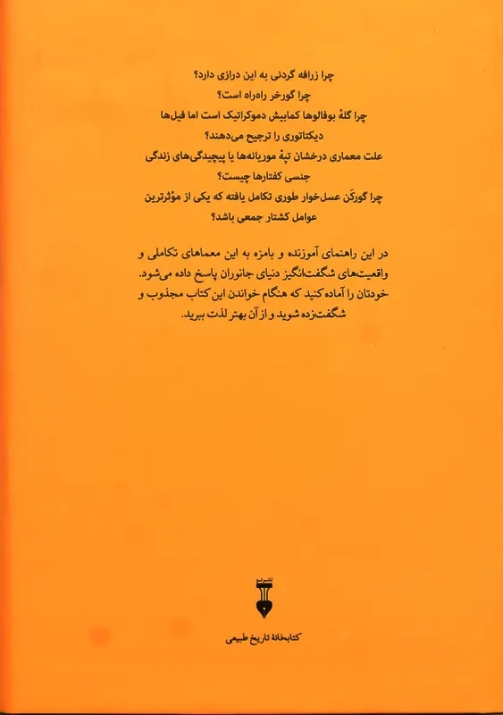 کتاب چگونه گورخر راه راه شد | لئو گراسه - 2