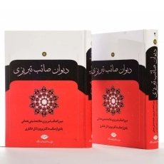 کتاب دیوان صائب تبریزی | انتشارات نگاه (2 جلدی) - 2