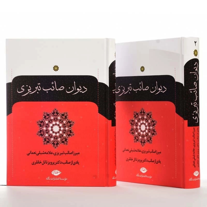 کتاب دیوان صائب تبریزی | انتشارات نگاه (2 جلدی) - 2