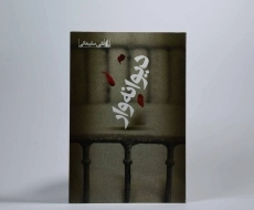 کتاب دیوانه وار - نقی سلیمانی - 3