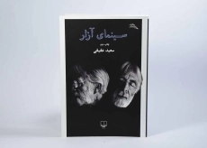 کتاب سینمای آزار - سعید عقیقی - 2