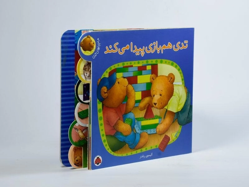 کتاب تدی هم بازی پیدا می کند - 2