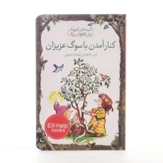 کتاب کنار آمدن با سوگ عزیزان (کلیدهای کوچک برای قفل های بزرگ) - 2