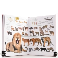 کتاب دایره‌المعارف دانستنیهای شگفت‌‌انگیز - 3