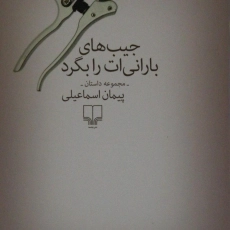 کتاب جیب های بارانی ات را بگرد - پیمان اسماعیلی