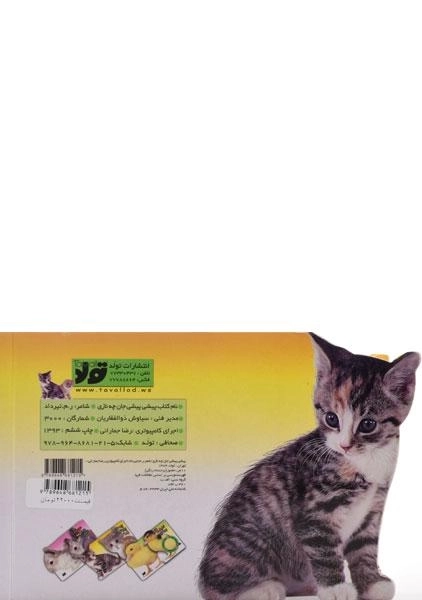 کتاب پیشی پیشی جان چه نازی - 1