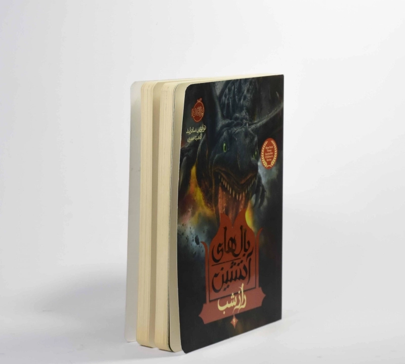 کتاب بالهای آتشین 4 (راز شب) - 4