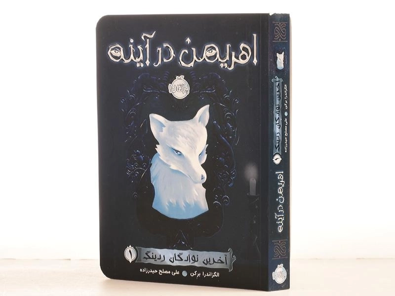 کتاب اهریمن در آینه (آخرین نوادگان ردینگ 1) - 2