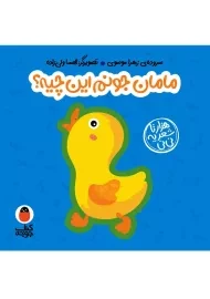 کتاب فومی مامان جونم این چیه؟ (هزارتا شعر یه نی نی)